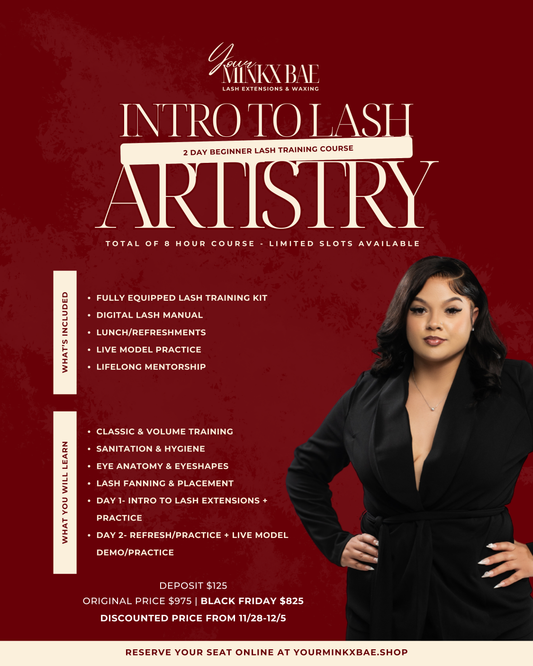 Intro to Lash Artistry 1 on 1 Training